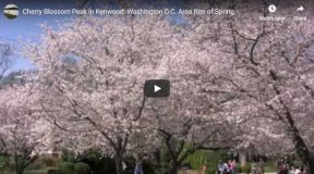 Popular on YouTube April 6, 2009